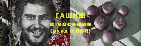 хмурый Алексин