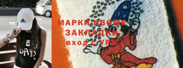 стаф Аркадак