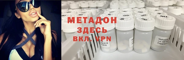 стаф Аркадак