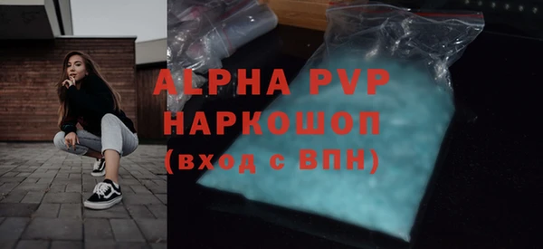 стаф Аркадак