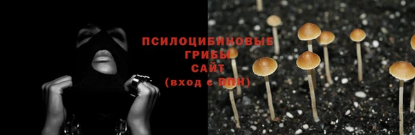 каннабис Алзамай