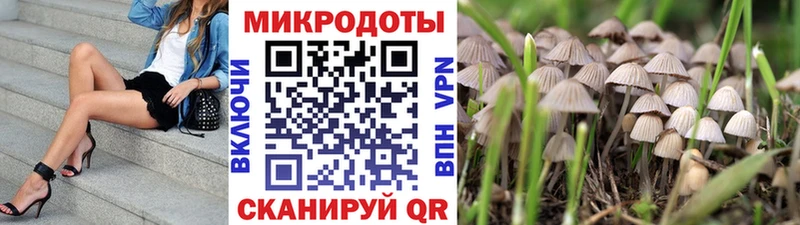 хочу наркоту  Краснотурьинск  Галлюциногенные грибы GOLDEN TEACHER 