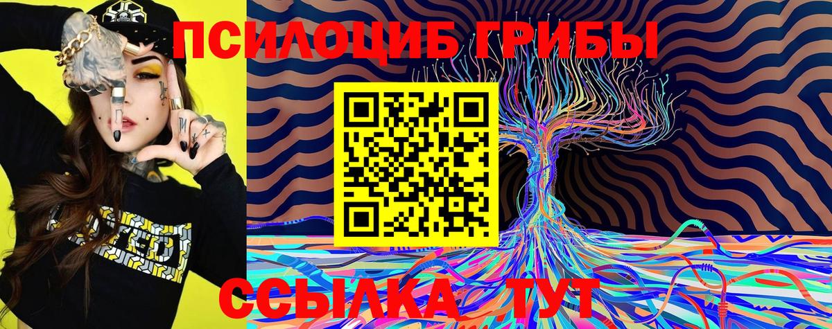 Псилоцибиновые грибы Cubensis Краснотурьинск