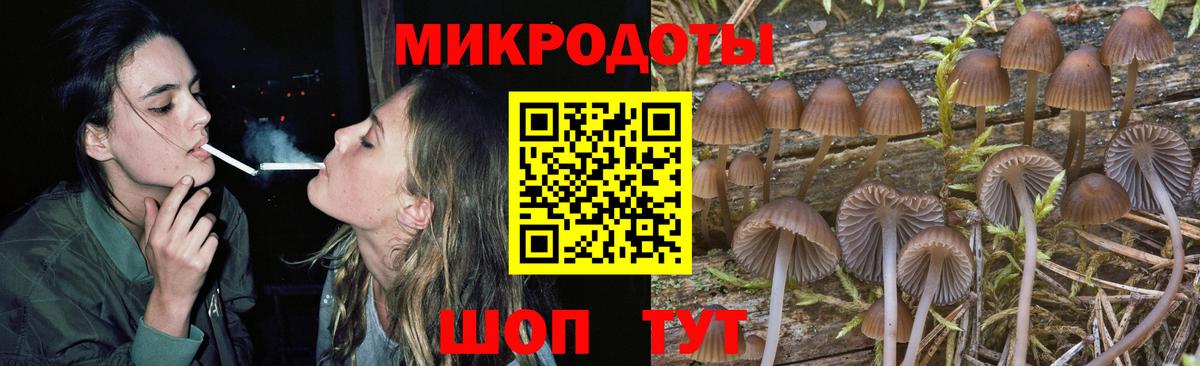 Галлюциногенные грибы мицелий  закладка  Краснотурьинск  Вход с VPN 